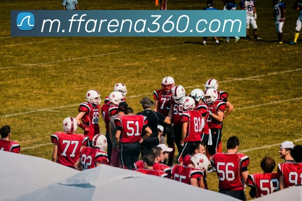 非凡体育平台生态图